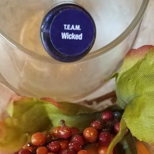 Perfect SEALED TEAM Wicked LipSense